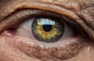 Close-up of a green eye